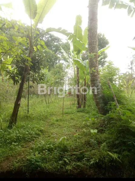 image TANAH AREA PAYANGAN UBUD  (8)