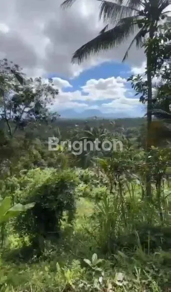 image TANAH AREA PAYANGAN UBUD  (2)