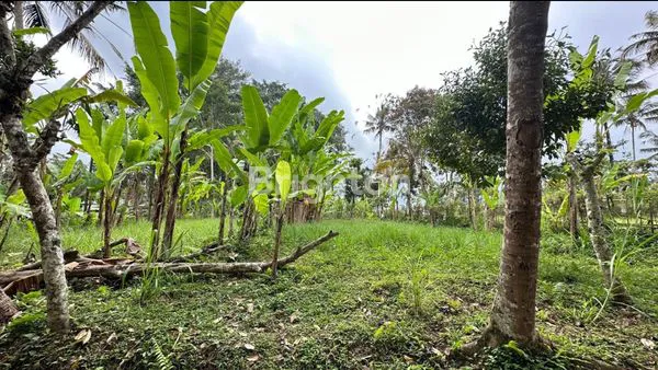 image TANAH AREA PAYANGAN UBUD  (5)