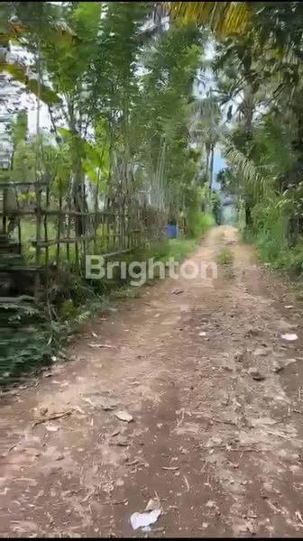 image TANAH AREA PAYANGAN UBUD  (6)