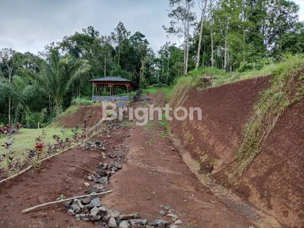 image CLUSTER 2 TABANAN - INVESTASI KEBUN DURIAN & VILLA VIEW GUNUNG DI BALI ! (2)