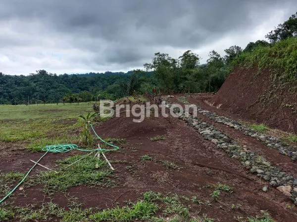 image CLUSTER 2 TABANAN - INVESTASI KEBUN DURIAN & VILLA VIEW GUNUNG DI BALI ! (6)