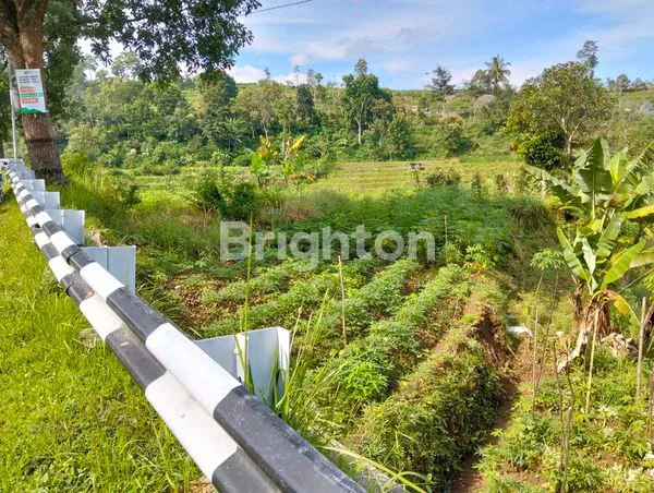 image TANAH PREMIUM 1164M² PINGGIR JALAN RAYA TAWANGMANGU - VIEW WISATA (2)