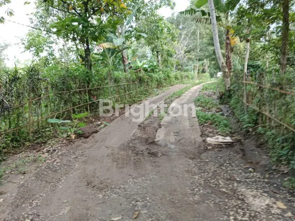 image HUNIAN KAYU DI TENGAH ALAM BALI , UDARA SEJUK , VIEW PEGUNUNGAN DI TABANAN BALI (3)