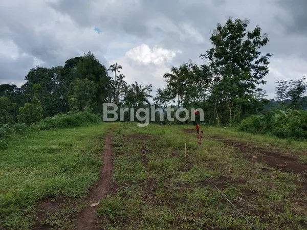 image HUNIAN KAYU DI TENGAH ALAM BALI , UDARA SEJUK , VIEW PEGUNUNGAN DI TABANAN BALI (6)