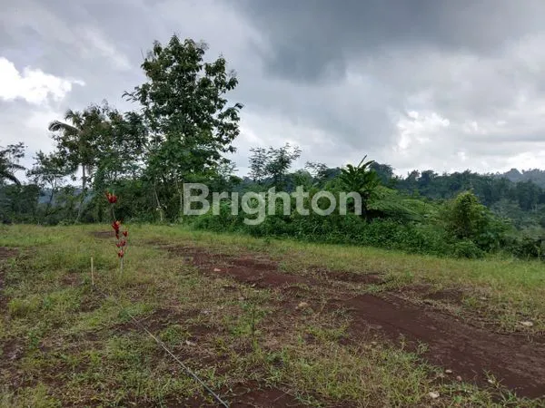 image HUNIAN KAYU DI TENGAH ALAM BALI , UDARA SEJUK , VIEW PEGUNUNGAN DI TABANAN BALI (7)