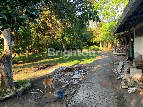 image 16 ARE TANAH SIAP BANGUN DI SANUR HANYA 8 MENIT KE PANTAI (1)