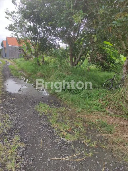 image TANAH DI DEKAT AIR TERJUN BLANGSINGA GIANYAR (1)