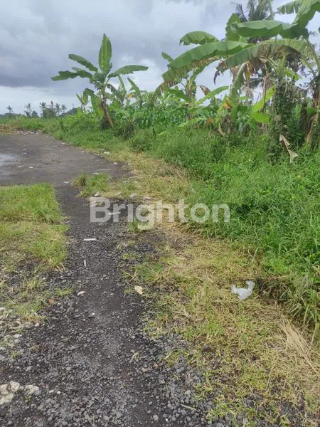 image TANAH DI DEKAT AIR TERJUN BLANGSINGA GIANYAR (2)