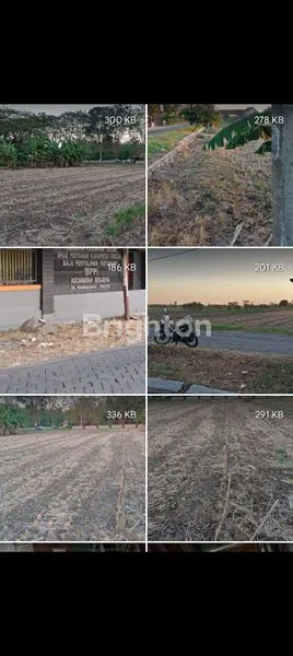 TANAH BENJENG, GRESIK, TANAH POTENSIAL, LOKASI STRATEGIS