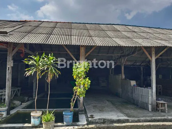 image TANAH DI CENGKARENG (3)