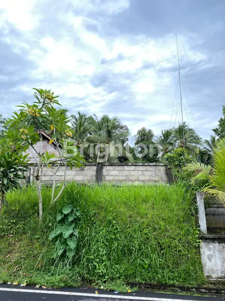image TANAH JL CARLO WAY TAMPAKSIRING GIANYAR, DEKAT RAYA AYODYA, SANDING (6)