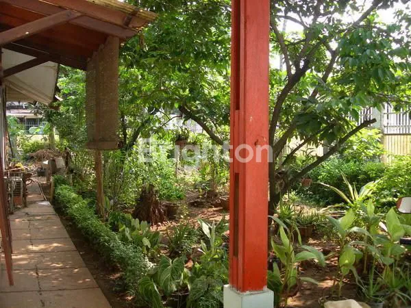 image RUMAH TUA HITUNG TANAH DI KEMANGGISAN JAKARTA BARAT (4)