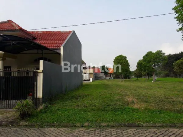 image CIAMIKK HADAP FAVORIT KAVLING CITRALAND !! (1)