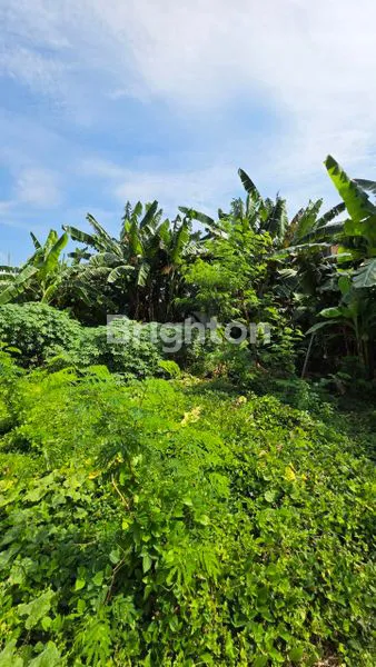 image TANAH 3580 M² PUSAT KOTA GRESIK NOL JALAN RAYA (3)