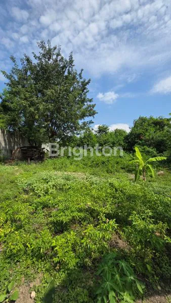 image TANAH 3580 M² PUSAT KOTA GRESIK NOL JALAN RAYA (4)