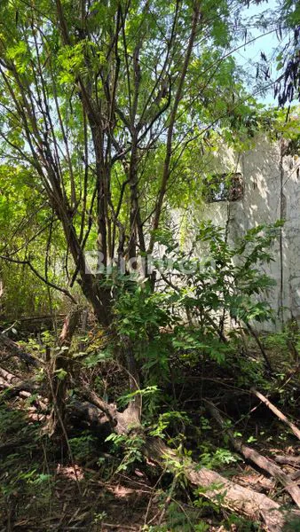 image TANAH 3580 M² PUSAT KOTA GRESIK NOL JALAN RAYA (6)