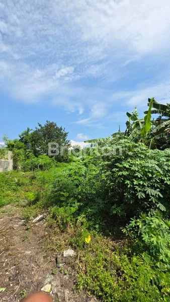 image TANAH 3580 M² PUSAT KOTA GRESIK NOL JALAN RAYA (7)