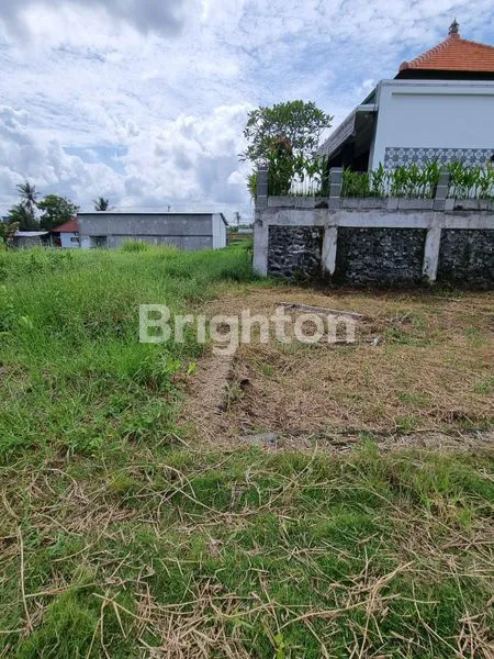 image FOR SALE LAHAN HIJAU PANTAI LIMA SEBELAH WBA (1)