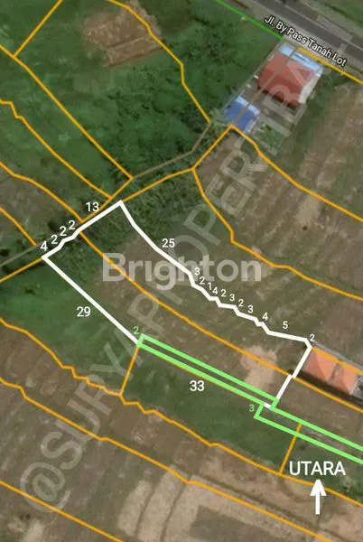 image FOR SALE LAHAN HIJAU PANTAI LIMA SEBELAH WBA (3)