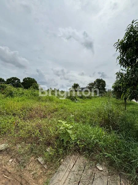 image TANAH MURAH PINGGIR JALAN DEKAT MAHKOTA PEMANCINGAN (2)