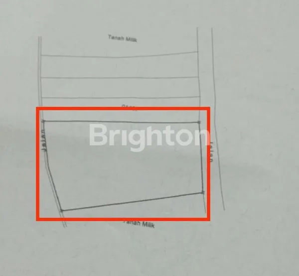 image TANAH DATAR SIAP GUNA DI PENEBEL TABANAN – COCOK UNTUK PERKEBUNAN ATAU PETERNAKAN (2)