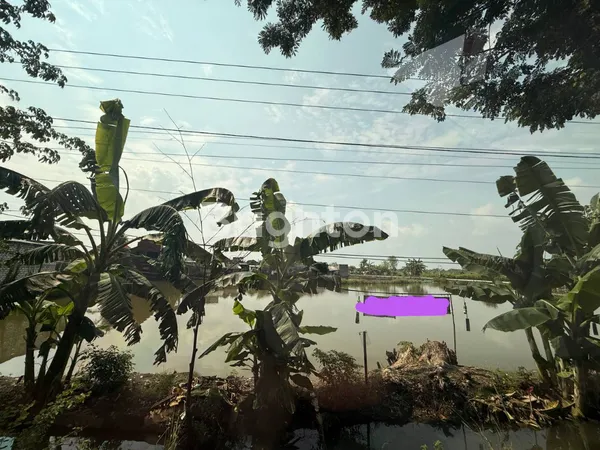 image TANAH RAYA PANDANAN GRESIK DEKAT LAMONGAN (1)