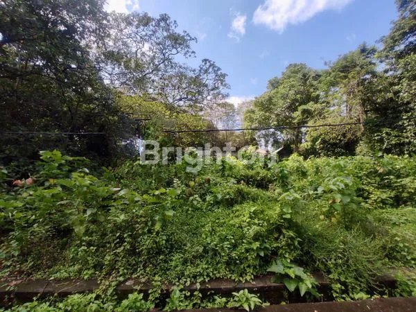 Gambar Property TANAH MARGA TABANAN BALI