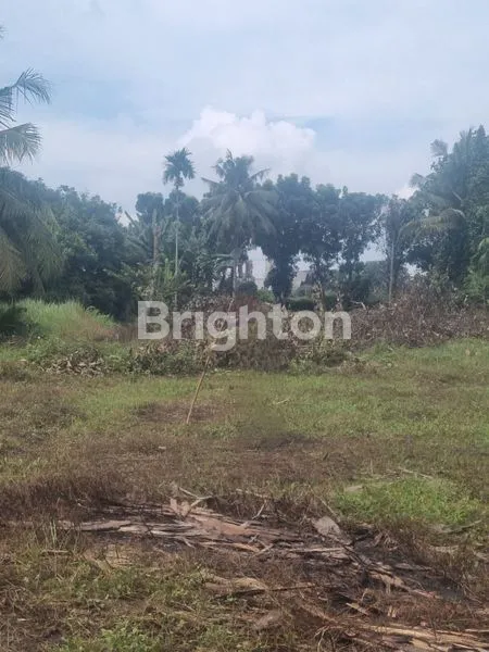 image TANAH KOSONG DISKI (2)