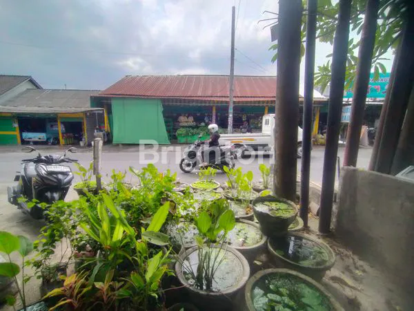 image DISEWAKAN TOKO BARU DI JALAN UTAMA CANGGU -PERERENAN CLOSE TO SESEH CEMAGI DAN TUMBAKBAYU (7)