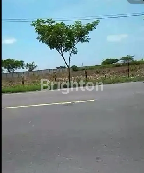 image DIJUAL TANAH DI TUBAN JAWA TIMUR (5)