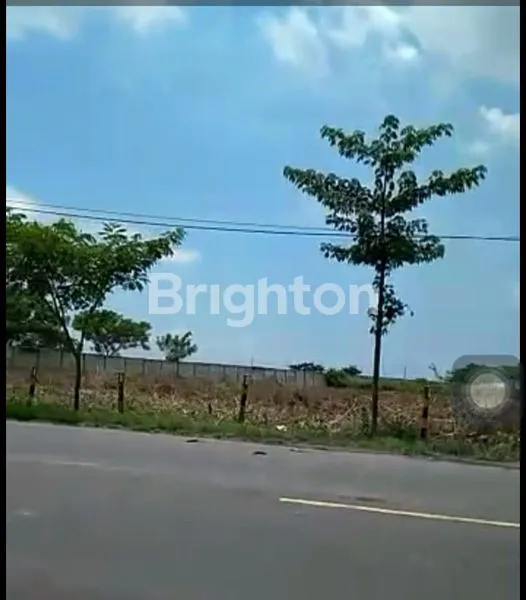 image DIJUAL TANAH DI TUBAN JAWA TIMUR (4)