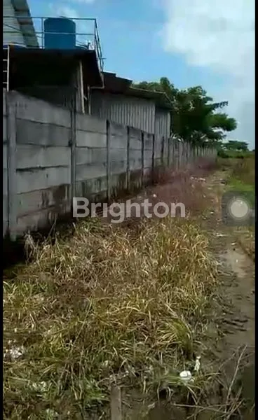 image DIJUAL TANAH DI TUBAN JAWA TIMUR (3)