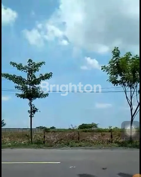 image DIJUAL TANAH DI TUBAN JAWA TIMUR (8)