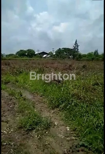 image DIJUAL TANAH DI TUBAN JAWA TIMUR (1)