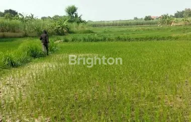 image TANAH DAERAH PASINAN BEJI (1)