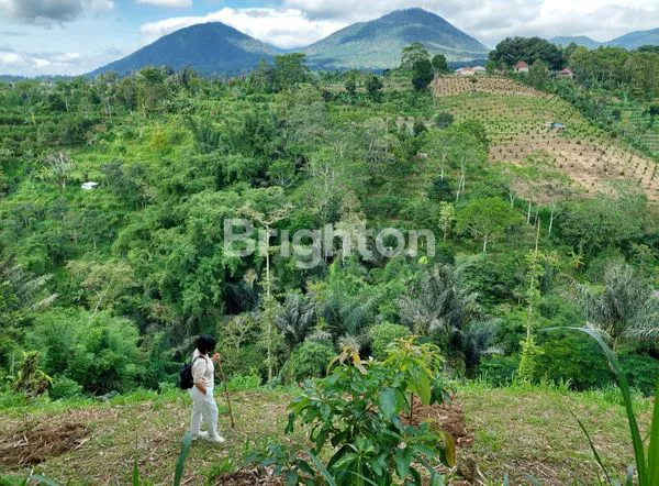 image KAVLING  KEBUN PRODUKTIF DI BALI (2)
