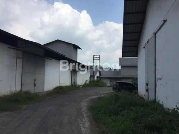 image GUDANG SEWA SUTAMI BANDAR LAMPUNG (1)