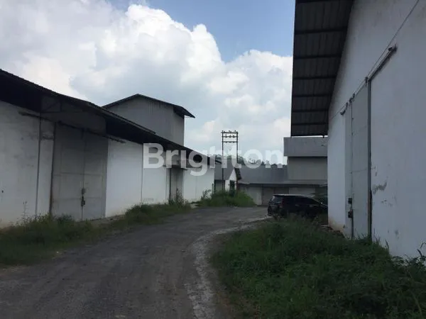 image GUDANG DI JUAL /DISEWA DI SUTAMI LAMPUNG (5)