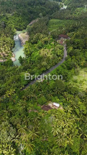 image DIJUAL TANAH TABANAN SELEMADEG (1)