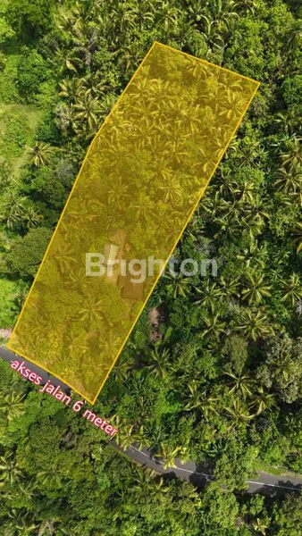 image DIJUAL TANAH TABANAN SELEMADEG (2)