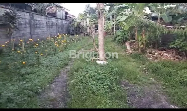 image DIJUAL TANAH DI LINGKUNGAN PEDESAAN YANG NYAMAN (3)