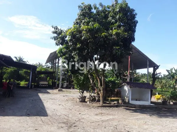 image PKS DIJUAL (6)