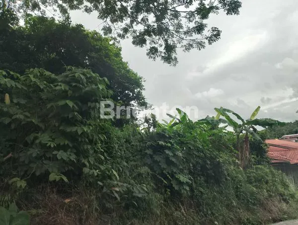 image TANAH DIJUAL DI PUNCAK BUKIT SAMARINDA  PINGGIR JALAN (1)