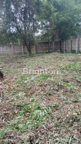 image LAHAN DI TENGAH KOTA PEKANBARU (1)