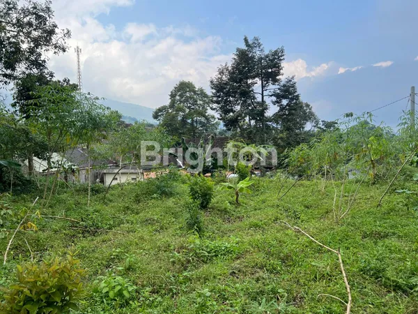 image TANAH MURAH KEBUN TEH KEMUNING NGARGOYOSO KARANGANYAR (2)