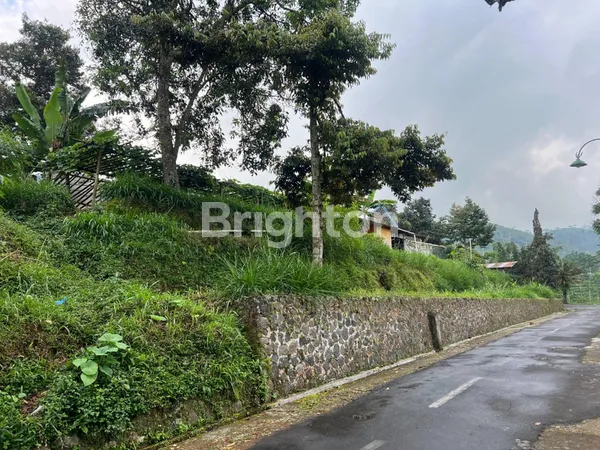 image TANAH MURAH KEBUN TEH KEMUNING NGARGOYOSO KARANGANYAR (3)