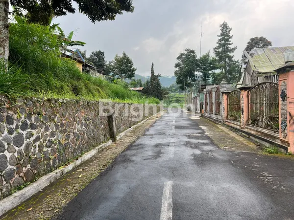 image TANAH MURAH KEBUN TEH KEMUNING NGARGOYOSO KARANGANYAR (5)