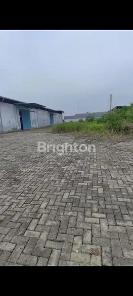 image GUDANG LUAS KE 2  BINTANG (2)