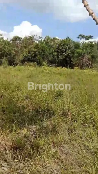 image TANAH DIJUAL (2)